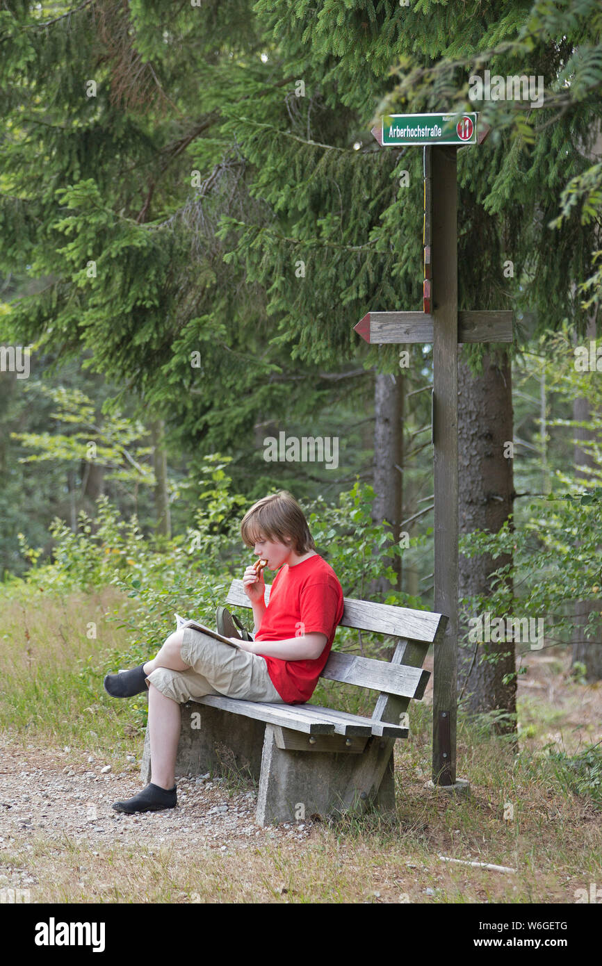 Pause in den Wäldern in der Nähe von Bodenmais, Bayerischer Wald, Bayern, Deutschland Stockfoto