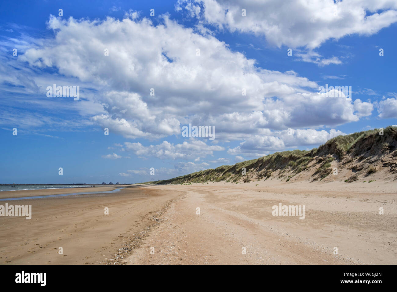 Dünen und Sandstrand bei Ebbe/Ebbe im Naturschutzgebiet Platier d'Oye bei Calais, Pas-de-Calais, Ile-de-France, Frankreich Stockfoto