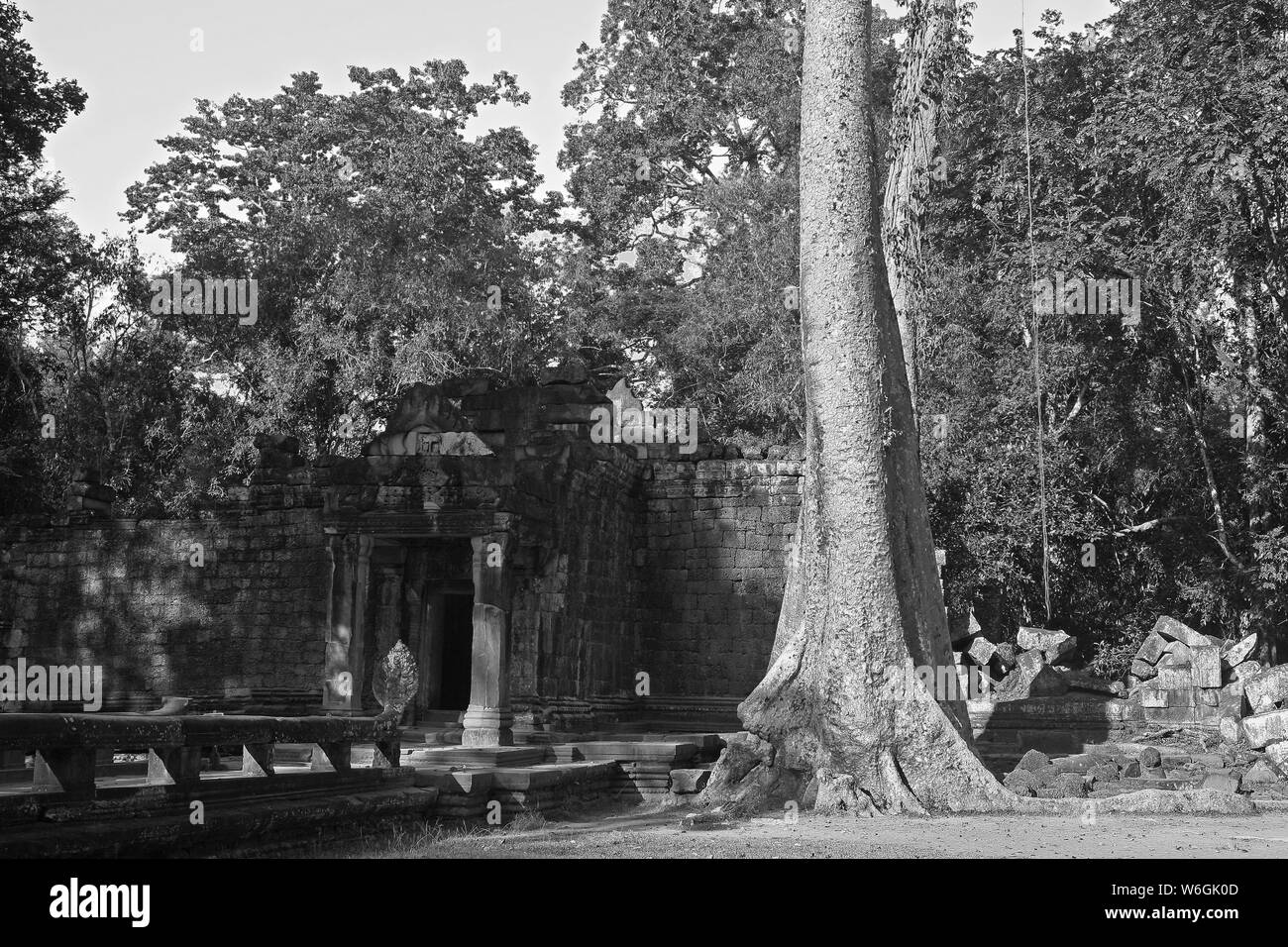 Die inneren westlichen Eingang des zweiten Gehäuse, Ta Prohm, Angkor, Siem Reap, Kambodscha, Schwarz und Weiss Stockfoto