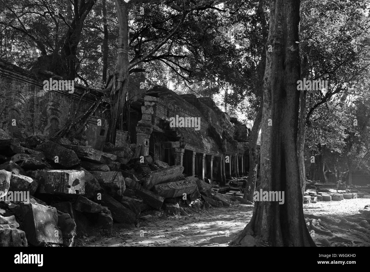 Südseite des vierten Gehäuses, Ta Prohm, Angkor, Siem Reap, Kambodscha. Schwarz und Weiss Stockfoto