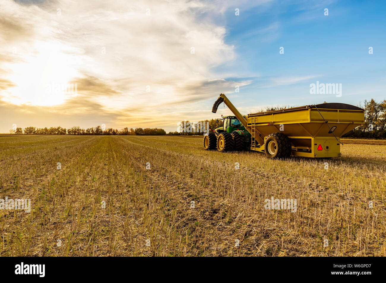 Bei einem Traktor mit einem Getreidewagen beim Warten auf den nächsten Laden aus einer Raps Ernte; Rechtliche, Alberta, Kanada Stockfoto