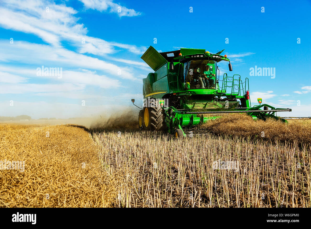 Vater und Sohn der Canola-raps zusammen mit einem auf dem Bauernhof der Familie kombinieren; Rechtliche, Alberta, Kanada Stockfoto