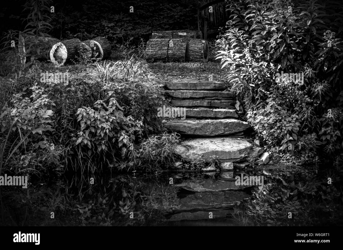 Stone Steps Stockfoto