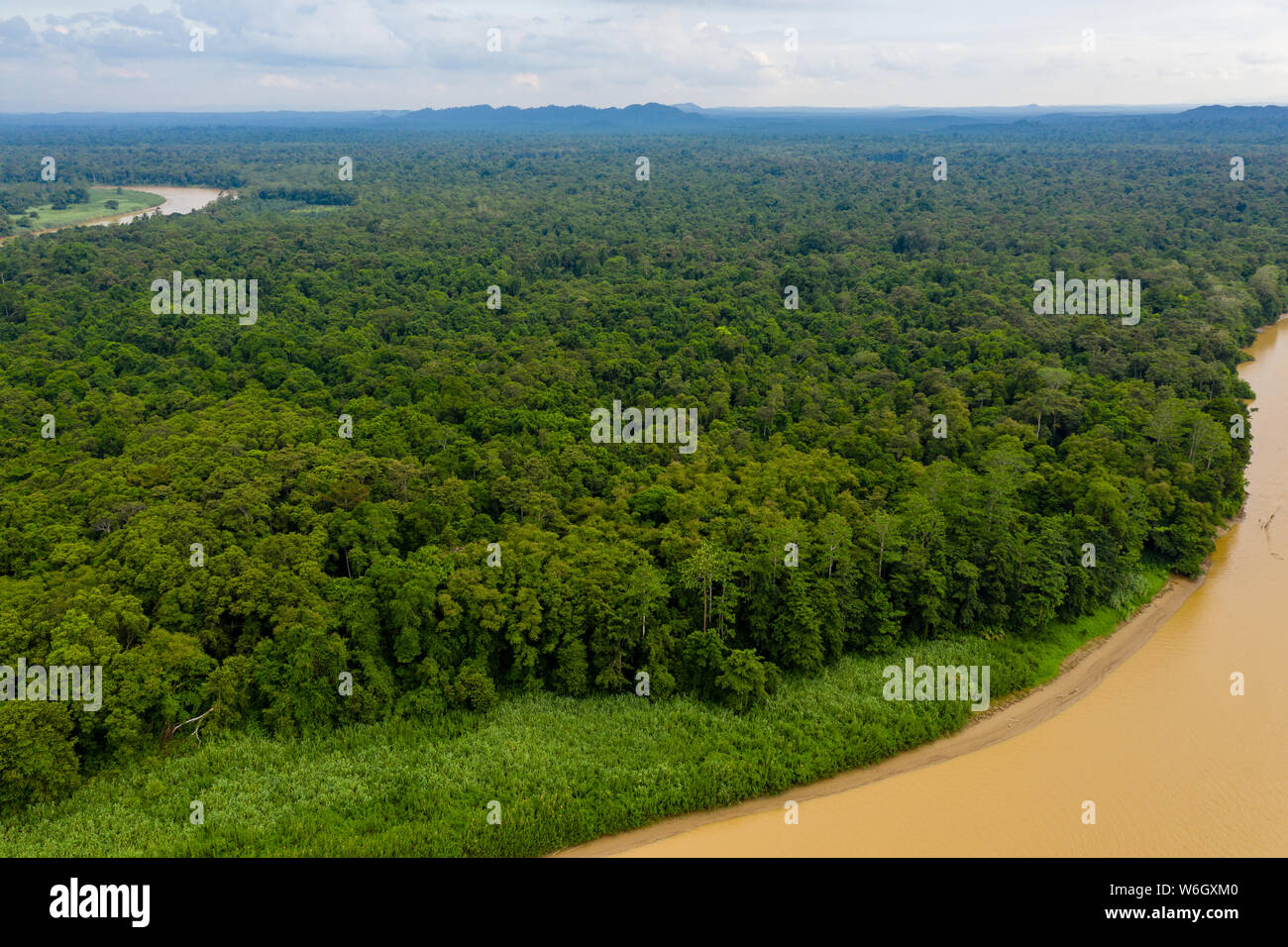 Antenne drone Ansicht einer langen gewundenen Fluss durch einen tropischen Regenwald Stockfoto