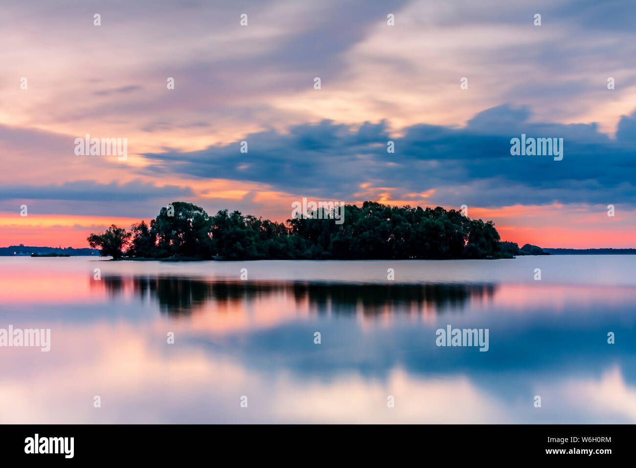 Bäume auf dem Wasser Stockfoto