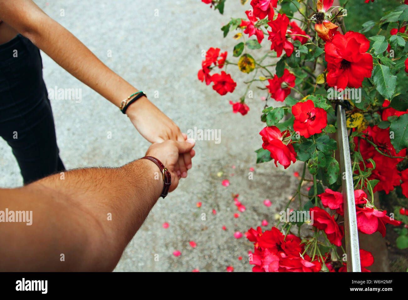 Paar Hände schütteln Neben einigen Blumen. Stockfoto
