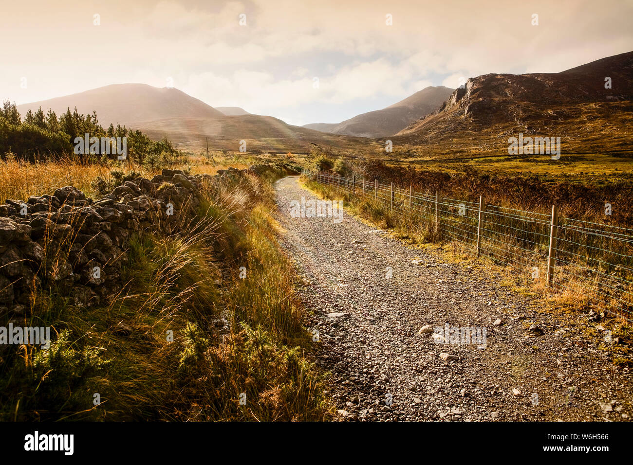 Ein kies Weg führt durch eine bergige Landschaft bei Sonnenaufgang, Brandy Pad, Mourne Wall, Spellack, County Down, Irland Stockfoto