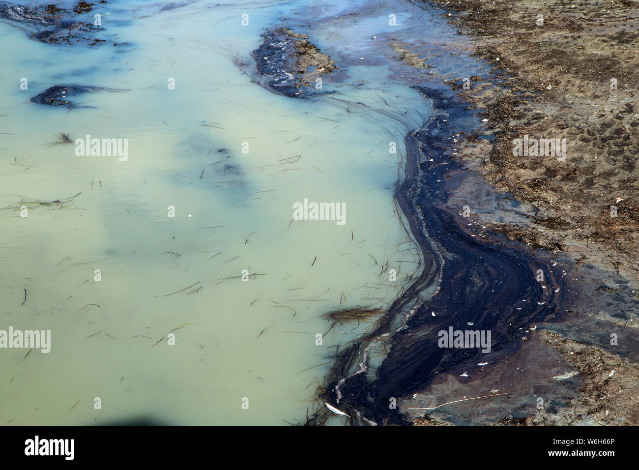 Einen Sandstrand in Malmö, Schweden mit den verrotteten stinkenden Algen mit einer schmutzigen verschmutzte Wasser Stockfoto