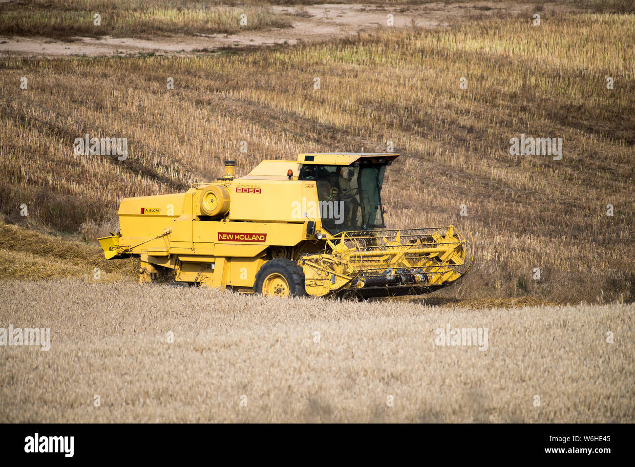 Landwirtschaft In Polen Stockfotos & Landwirtschaft In Polen Bilder - Alamy