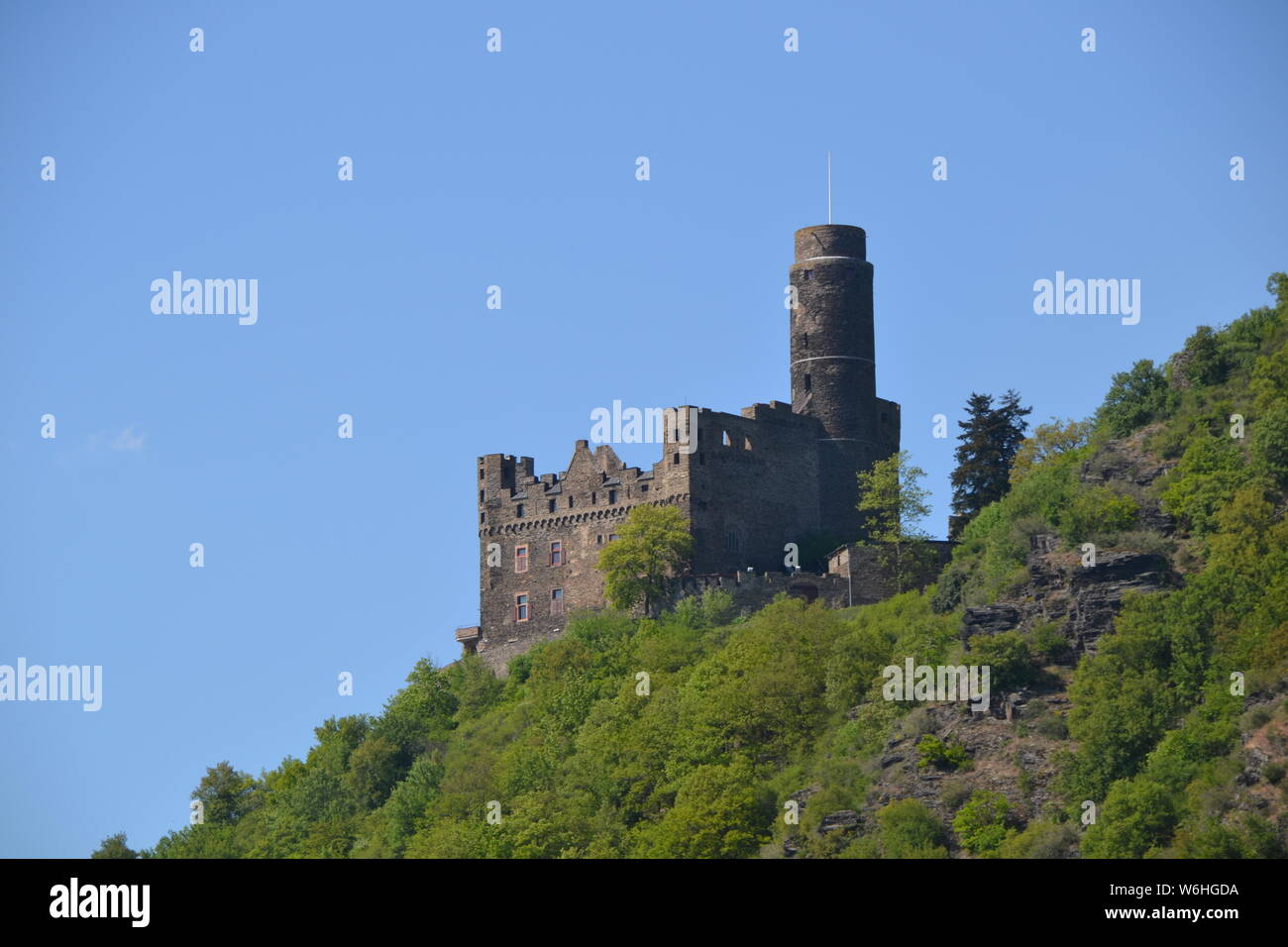 Maus oder Maus Schloss am Rhein Stockfoto