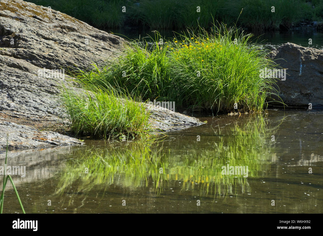 Oder: Douglas County, Cascades, South Umpqua River. Felsen Linie im Süden Umpqua River bei drei C Rock Picknick, Umpqua National Forest Stockfoto