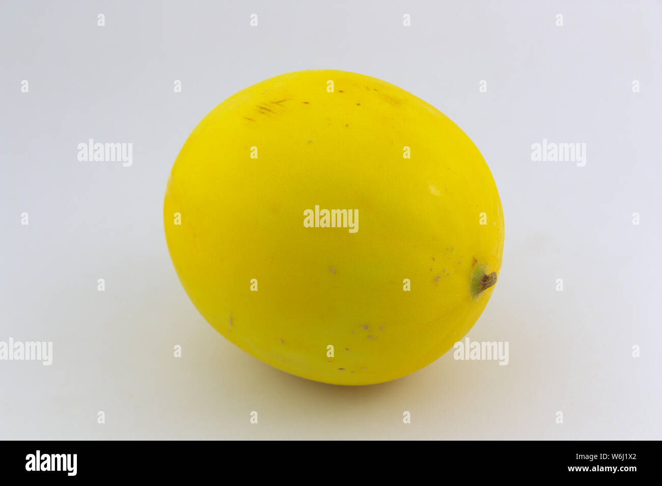Gelbe Melone als goldene Melone bekannt, auf weissem neutralen Hintergrund Stockfoto