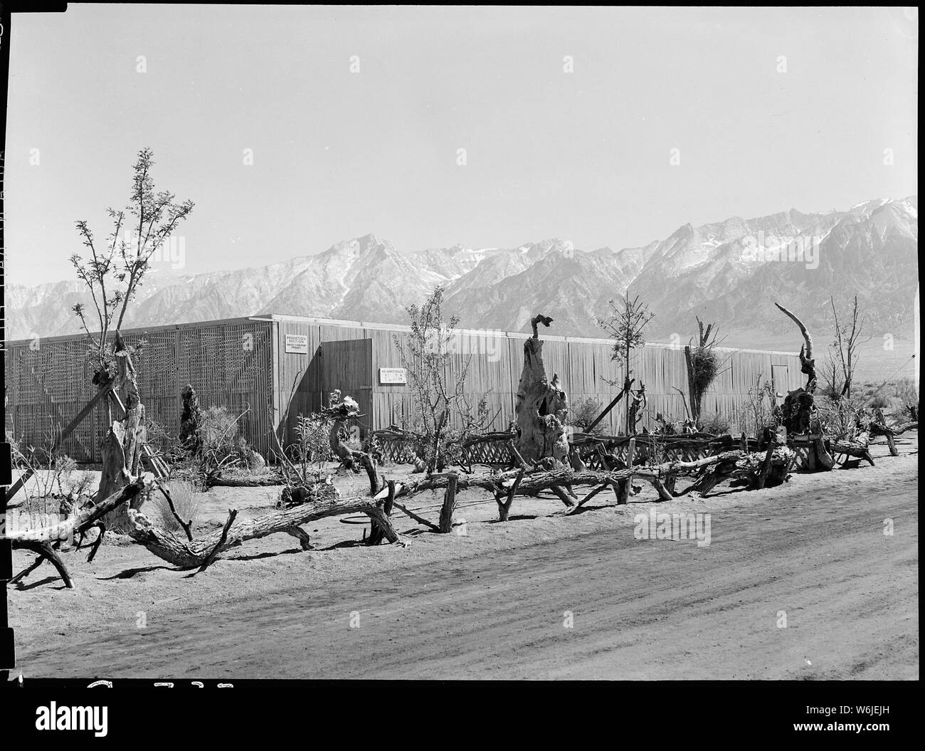 Manzanar Relocation Center, Manzanar, Kalifornien. Außenansicht des Latte Haus Der guyaule Gummi. . .; Umfang und Inhalt: Der vollständige Titel für dieses Foto lautet: manzanar Relocation Center, Manzanar, Kalifornien. Außenansicht des Latte Haus Der guyaule Gummi experiment Projekt, in dem Pflanzen unter kontrollierten Bedingungen mit einem Stab von 22 Mitarbeitern gewachsen sind, unter der Leitung von Walter T. Watanabe. Die erste Lieferung von 100.000 Sämlinge kamen aus den Salinas Experiment Station. Hinweis dekorative Wüste Garten. Stockfoto