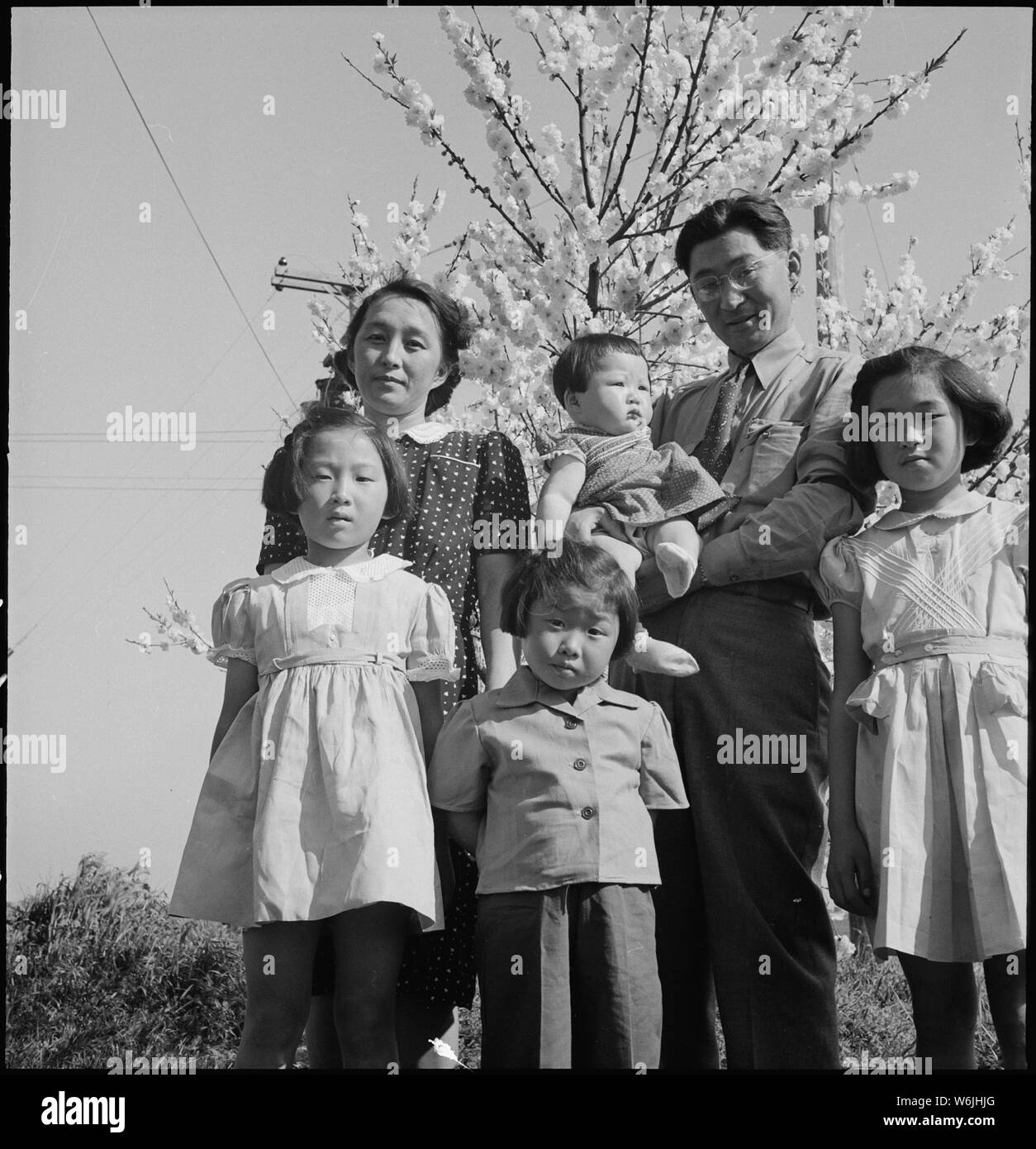 Bergblick, califronia. Henry Mitarai, Alter 36, erfolgreiche große Farm Operator mit seiner fam. . .; Umfang und Inhalt: Der vollständige Titel für dieses Foto lautet: Bergblick, califronia. Henry Mitarai, Alter 36, erfolgreiche große Farm Operator mit seiner Familie auf ihrer Ranch über sechs Wochen vor der Evakuierung. Diese Familie, zusammen mit anderen Familien der japanischen Vorfahren, wird die Dauer im Krieg Relocation Authority Center verbringen. Stockfoto