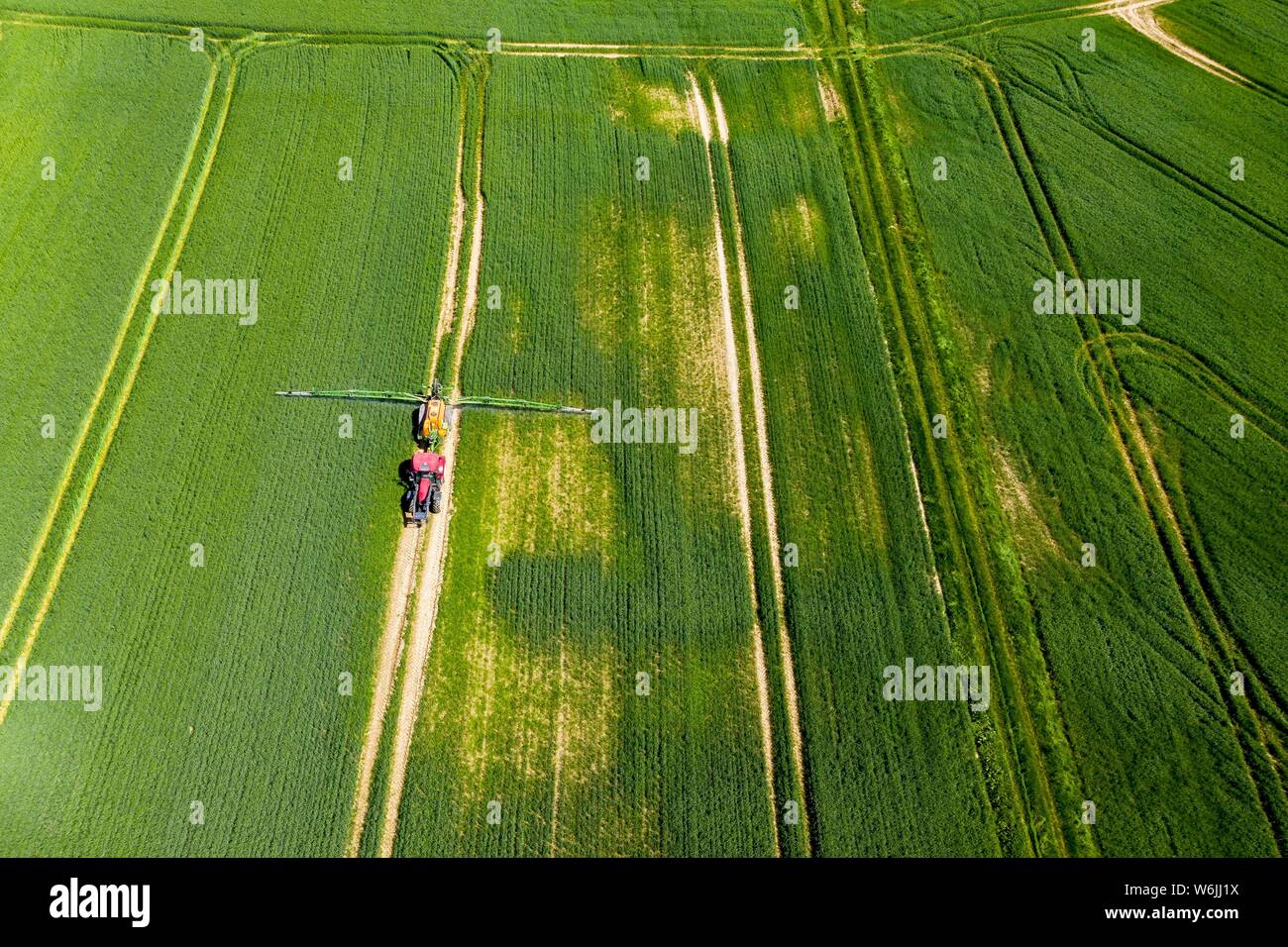 Luftaufnahme, Traktor Spritzen ein Feld mit Düngemitteln, Wetterau, Hessen, Deutschland Stockfoto