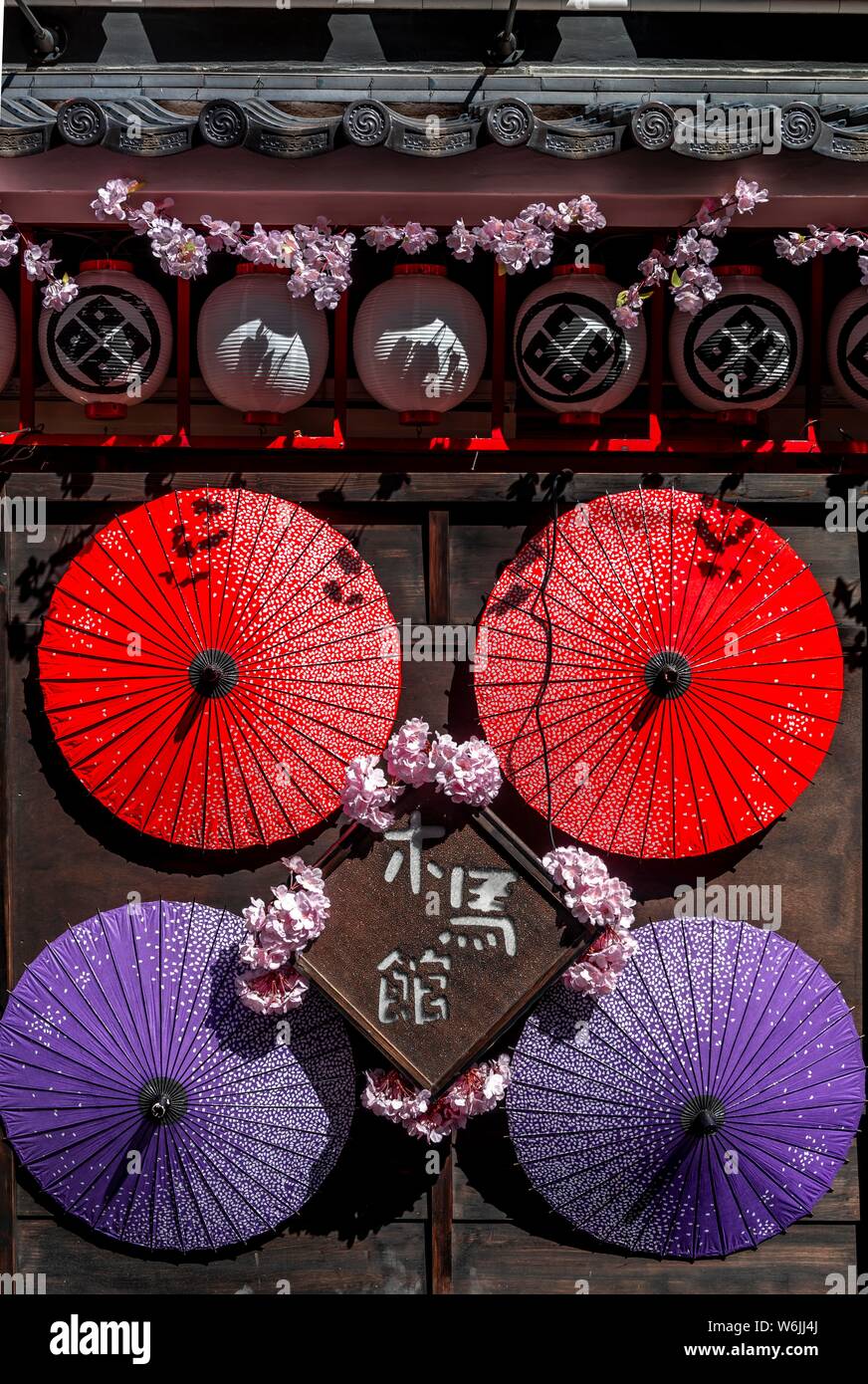 Japanisch - eingerichtete Haus Wand mit Kirschblüten und Sonnenschirme, Asakusa, Tokyo, Japan Stockfoto