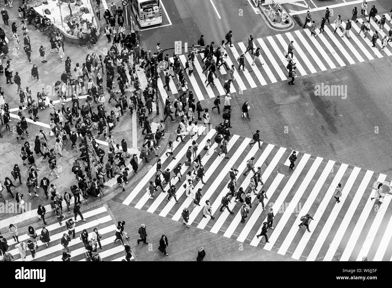 Shibuya Crossing, Massen an der Kreuzung, viele Menschen überqueren Zebrastreifen, Schwarze und Weiße, Shibuya, Udagawacho, Tokio, Japan Stockfoto