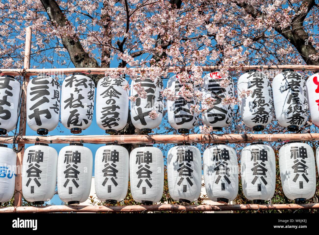 Laternen mit japanischen Zeichen, buddhistische Tempel Komplex, Senso-ji Tempel, Asakusa, Tokyo, Japan Stockfoto