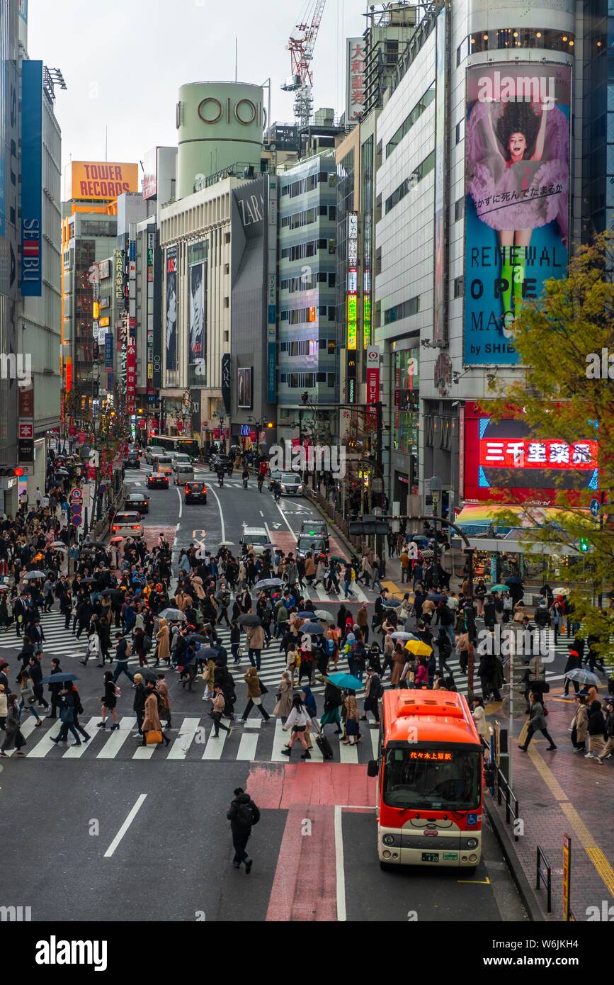 Kreuzung von oben, Menschenmassen überqueren Zebrastreifen an der Kreuzung, Bunkamura-Dori, Shibuya, Udagawacho, Tokio, Japan Stockfoto