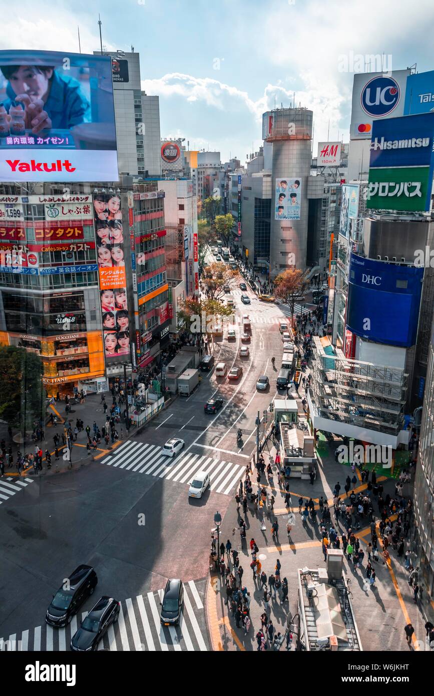 Masse von Menschen mit Zebrastreifen überqueren und Verkehr, von oben, Shibuya Crossing, Udagawacho, Shibuya, Tokio, Japan Stockfoto