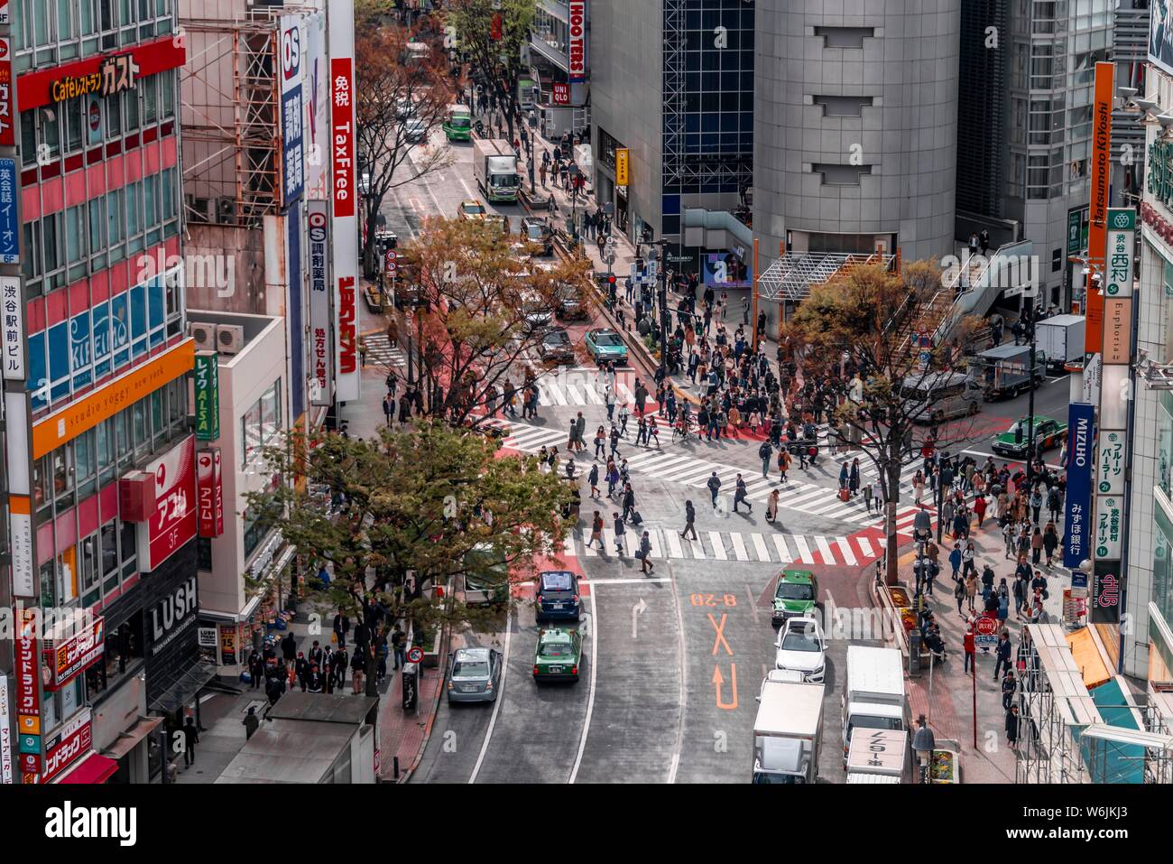 Kreuzung von oben, Menschenmassen überqueren Zebrastreifen an der Kreuzung, Bunkamura-Dori, Shibuya, Udagawacho, Tokio, Japan Stockfoto