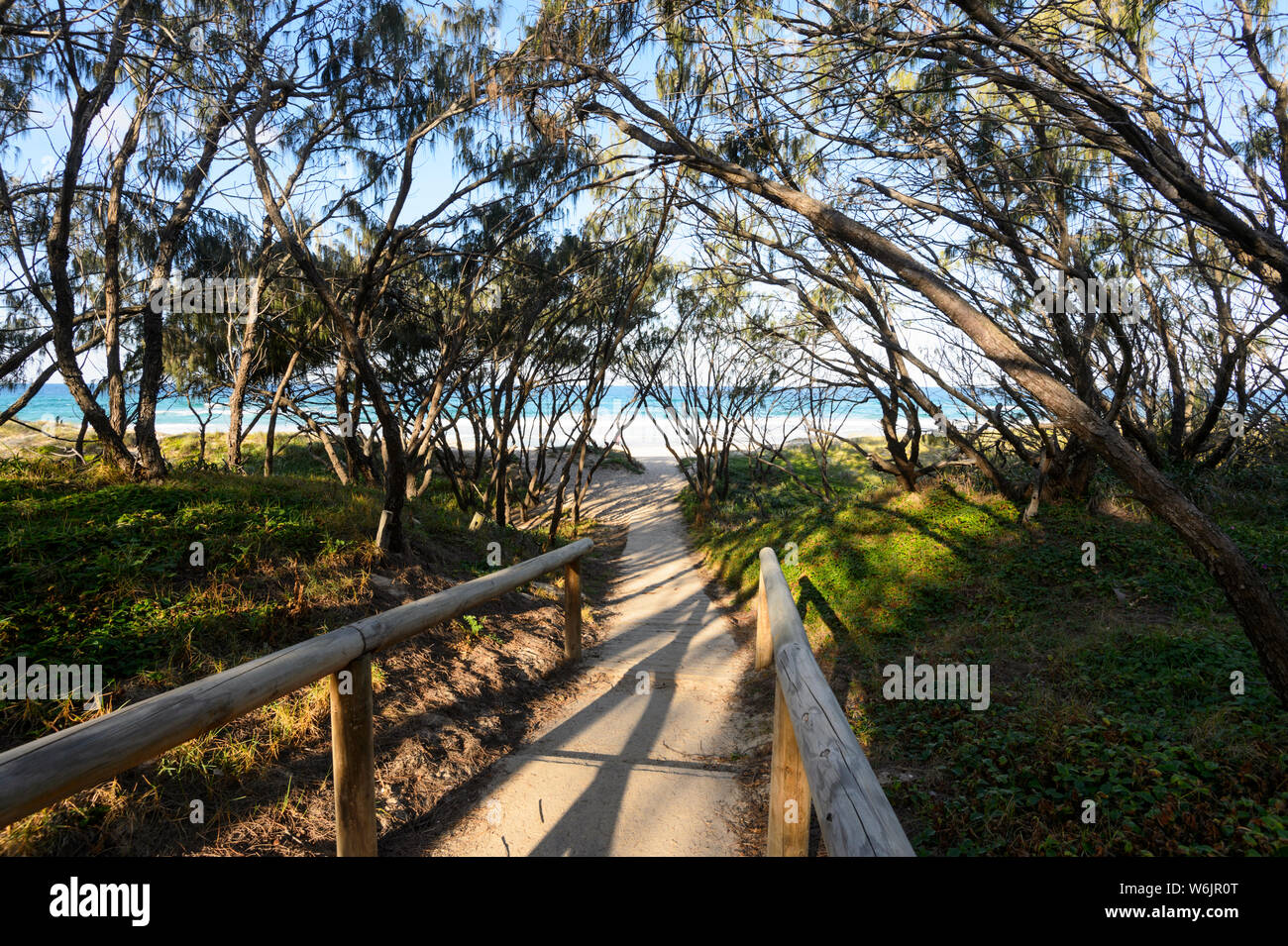 Zugang zu Sunrise Beach, Noosa, Sunshine Coast, Queensland, Queensland, Australien Stockfoto