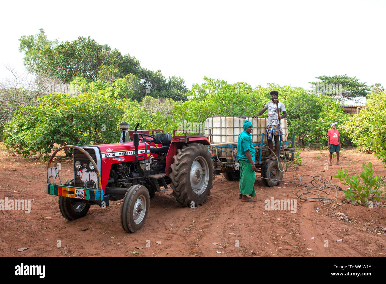 TAMIL NADU, INDIEN: Februar 2019: Cashew Spritzen mit endosulfan Pestizid ist sehr gefährlich für die Gesundheit. Stockfoto
