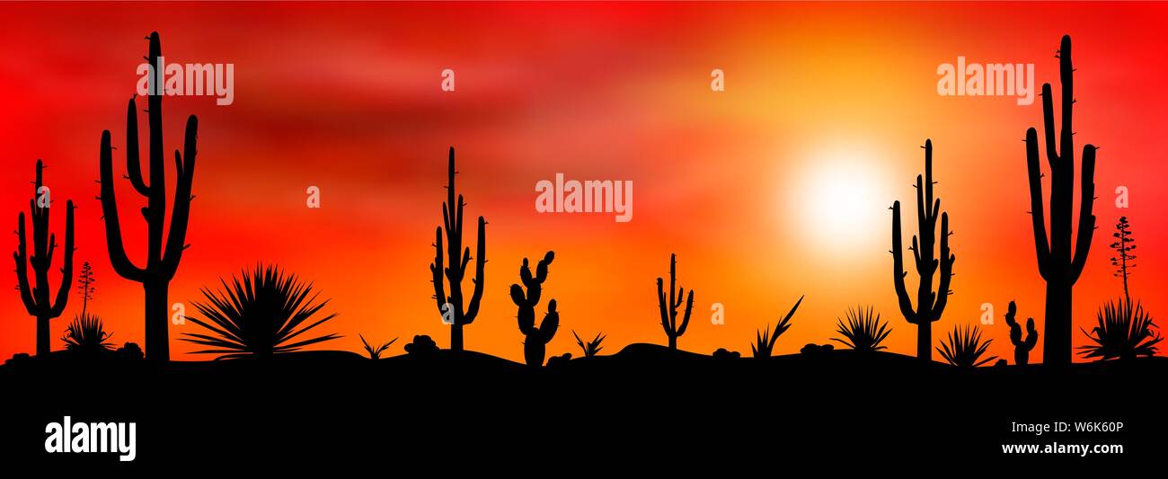 Sonnenuntergang in der mexikanischen Wüste. Silhouetten von Kakteen und anderen Pflanzen des steinigen Wüste vor dem Hintergrund eines Sonnenuntergangs. Landschaft der Wüste mit Kakteen. Stock Vektor