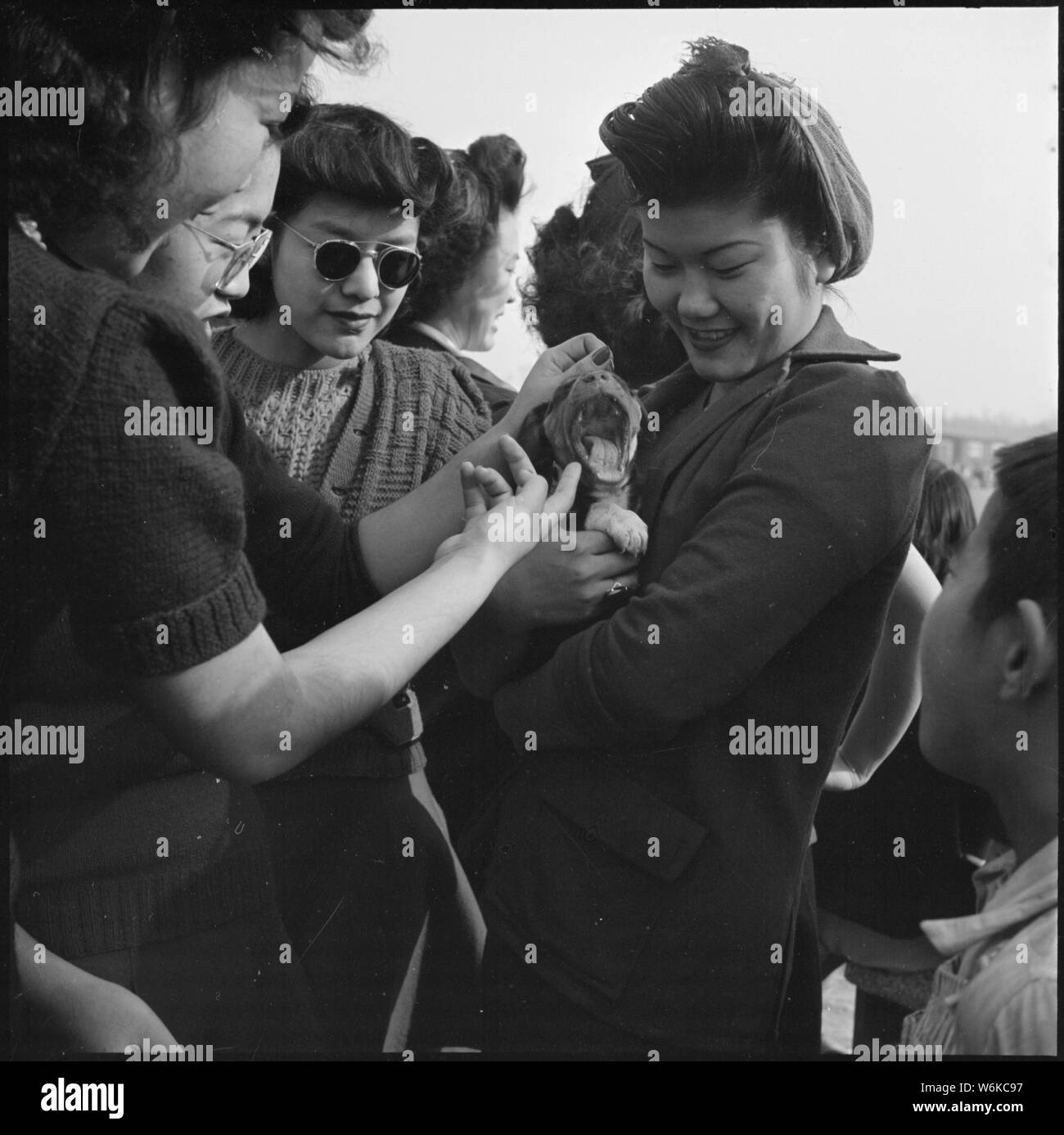 Rohwer Relocation Center, McGehee, Arkansas. Eine Gruppe von Mädchen, die ihren Wohnsitz in diesem Zentrum und. . .; Umfang und Inhalt: Der vollständige Titel für dieses Foto lautet: Rohwer Relocation Center, McGehee, Arkansas. Eine Gruppe von Mädchen, die ihren Wohnsitz in diesem Zentrum und einen Welpen an einem Fußballspiel. Stockfoto