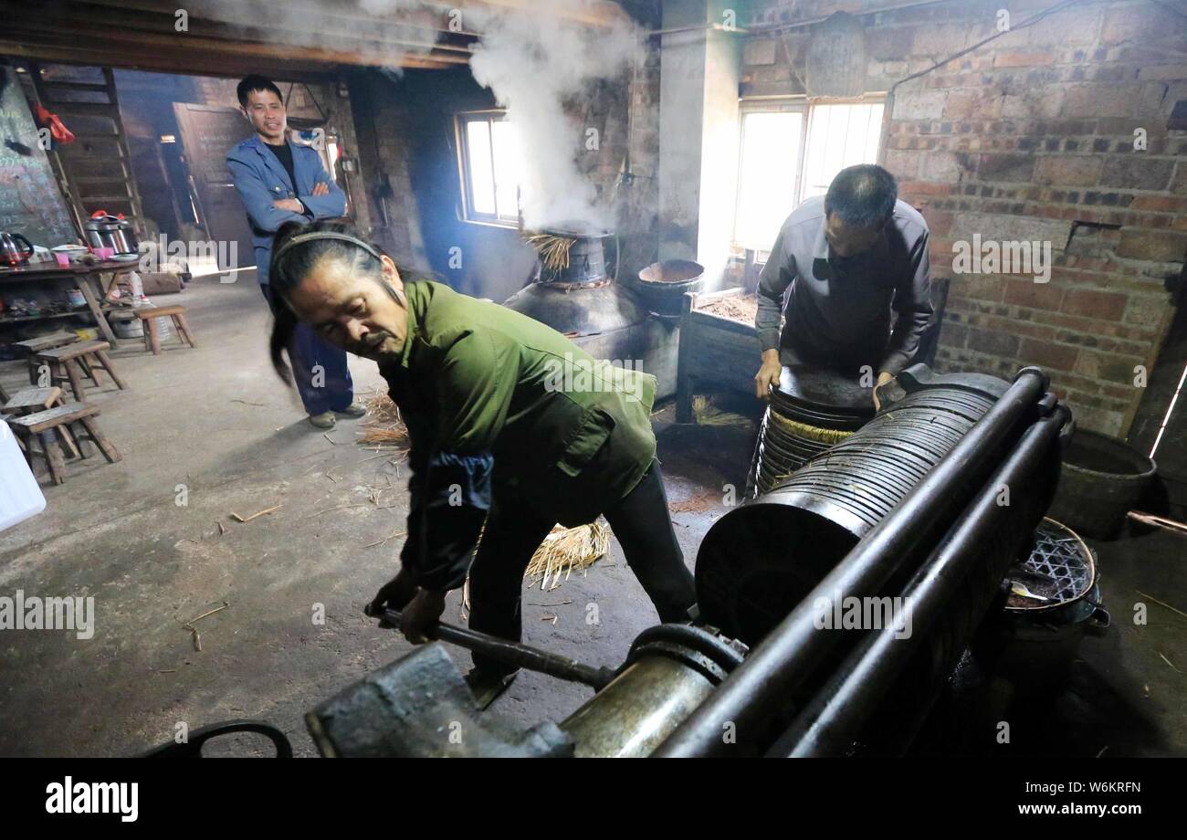 Chinesische Dorfbewohner den Kaffee Samen Öl aus den Samen der Camellia oleifera in Liuzhou City, South China Guangxi Zhuang autonomen Region, 19 extrahieren Stockfoto