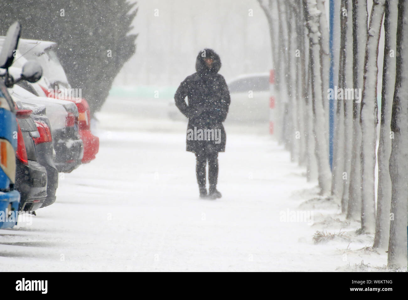 Ein Fußgänger geht auf eine verschneite Straße in einem schweren Schneesturm in Yantai, Provinz Shandong, China, 22. Januar 2018. Chinas meteorologischen Stockfoto