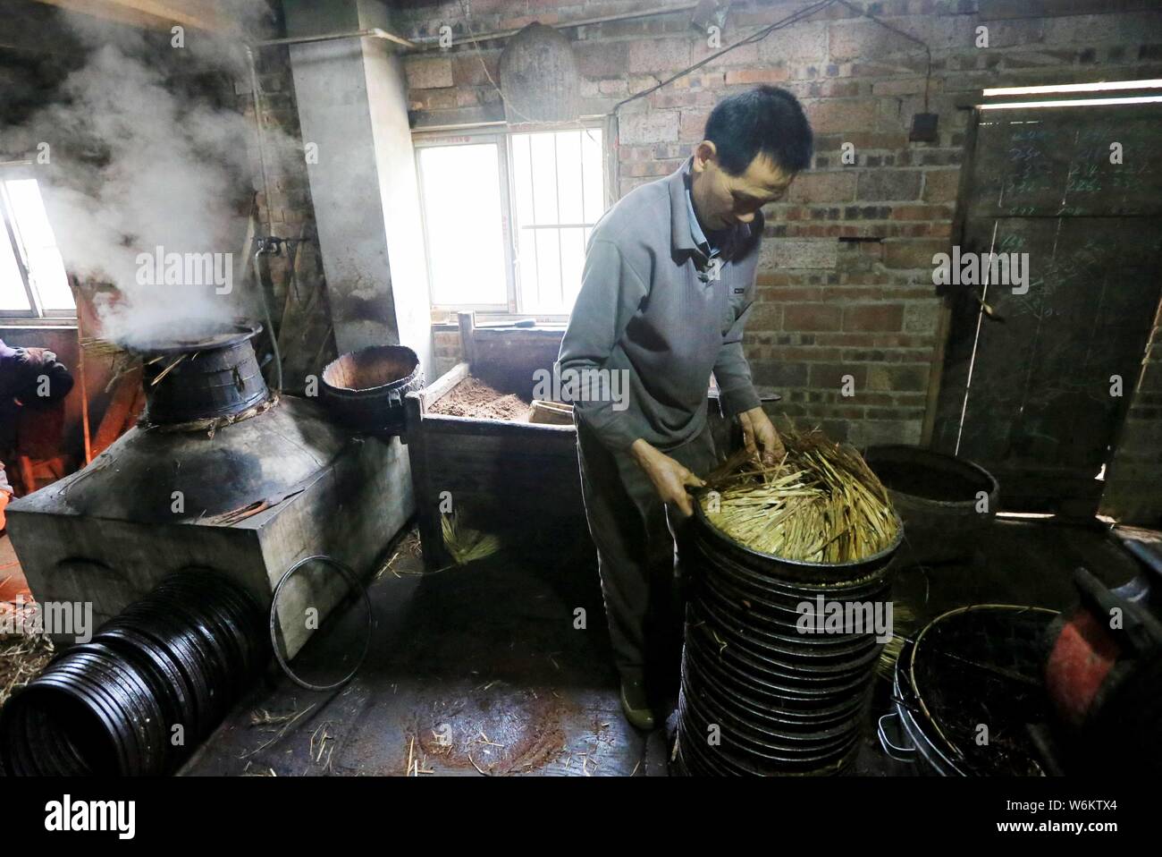 Ein chinesischer Dorfbewohner bereitet den Kaffee Samen Öl aus den Samen der Camellia oleifera in Liuzhou City, South China Guangxi Zhuang Autonomo zu extrahieren Stockfoto