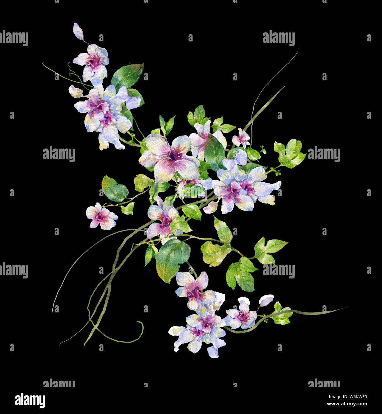 Aquarell von Blättern und Blumen auf schwarzem Hintergrund Stockfoto