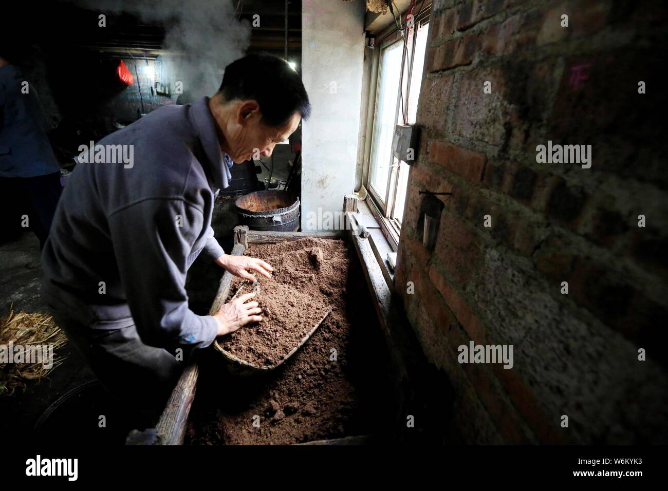 Ein chinesischer Dorfbewohner bereitet den Kaffee Samen Öl aus den Samen der Camellia oleifera in Liuzhou City, South China Guangxi Zhuang Autonomo zu extrahieren Stockfoto