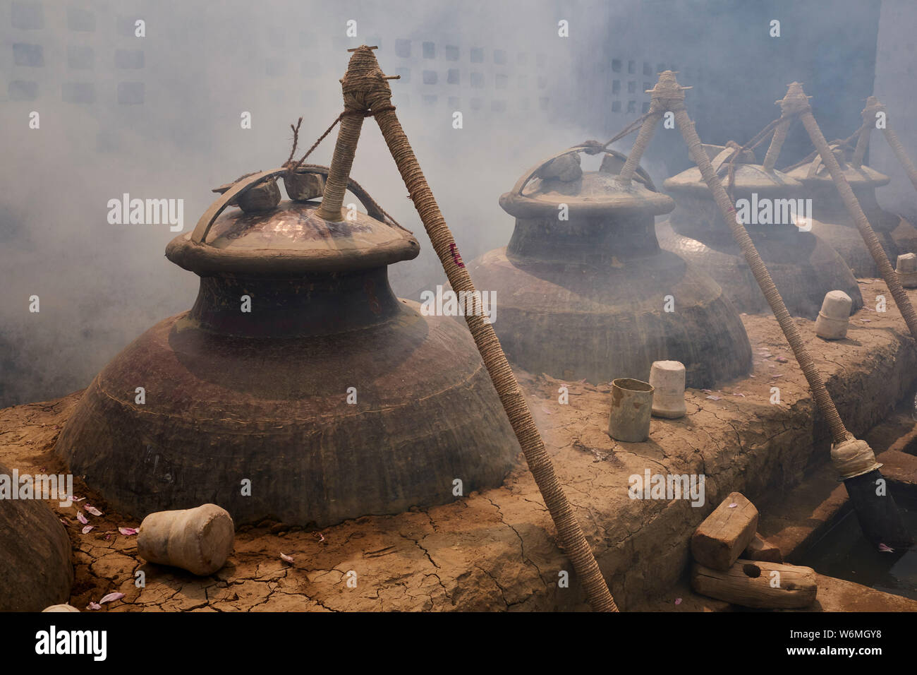 Indien, Uttar Pradesh, die Stadt des Parfums, wo Rosen für die Parfümindustrie destilliert werden Stockfoto