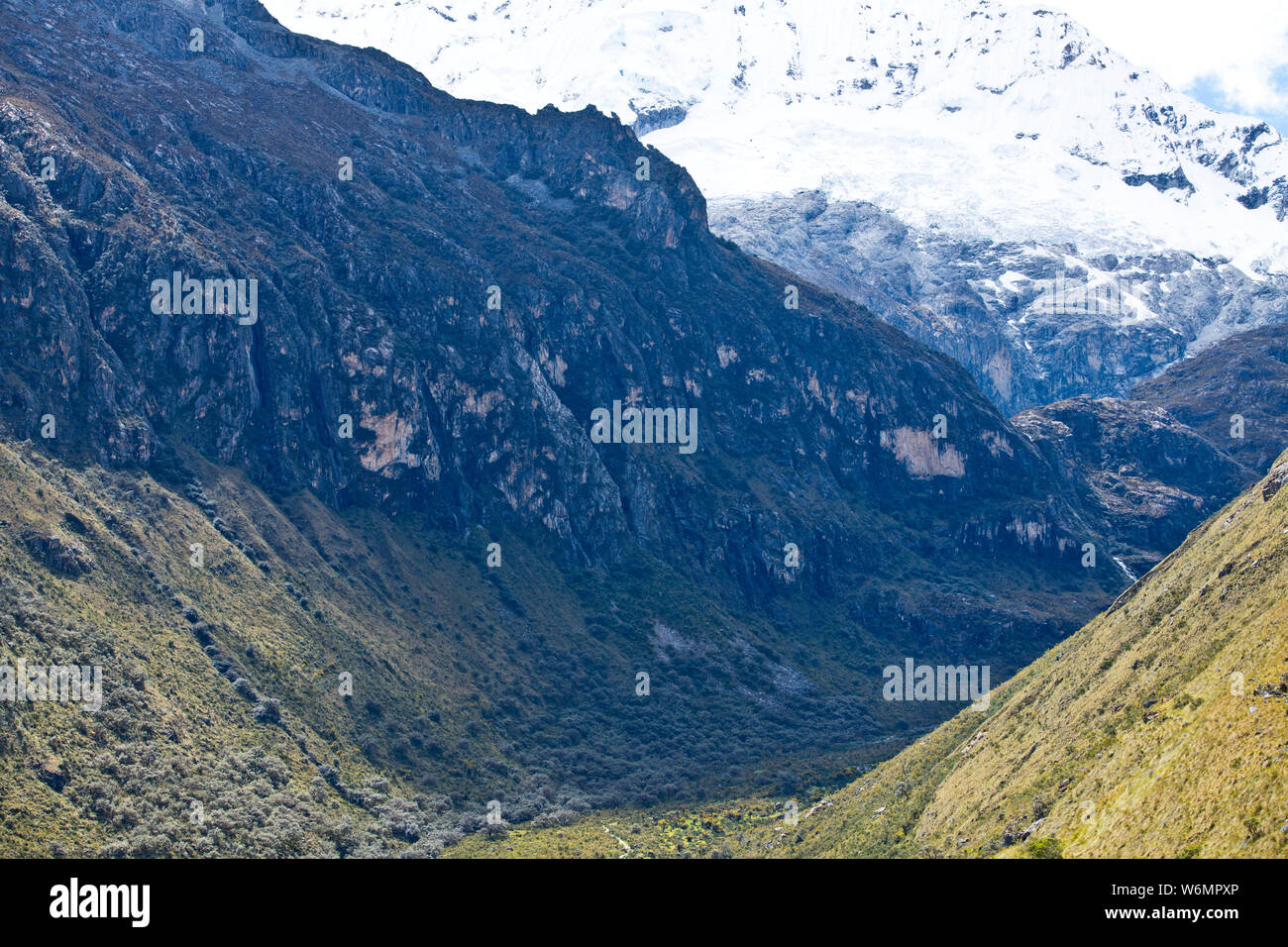 Berge, Gletscher, Flüsse, blauen Lagunen, Blumen, Llanganuco, Parque National Huascaran, Norden von Peru, Südamerika Stockfoto