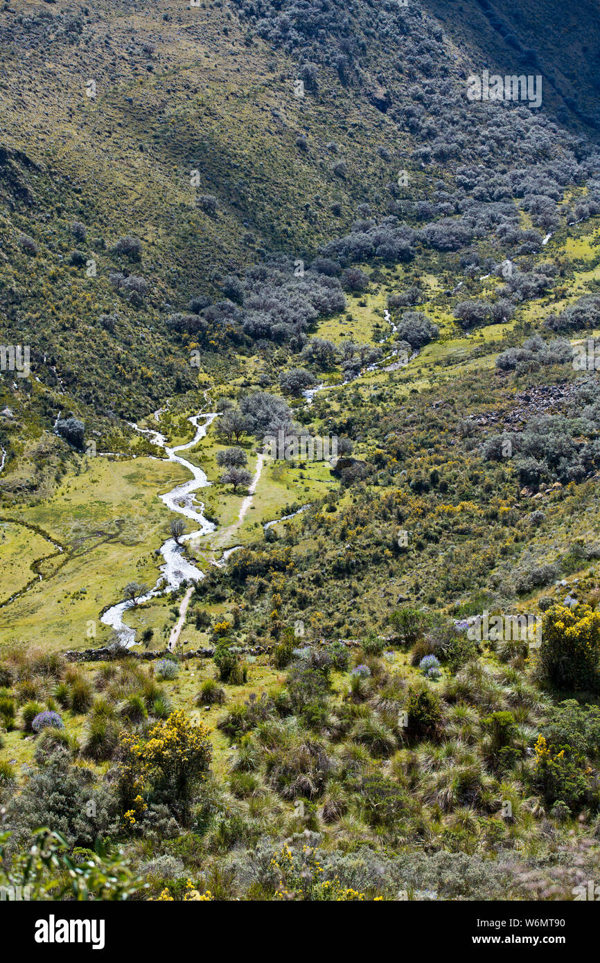 Berge, Gletscher, Flüsse, blauen Lagunen, Blumen, Llanganuco, Parque National Huascaran, Norden von Peru, Südamerika Stockfoto