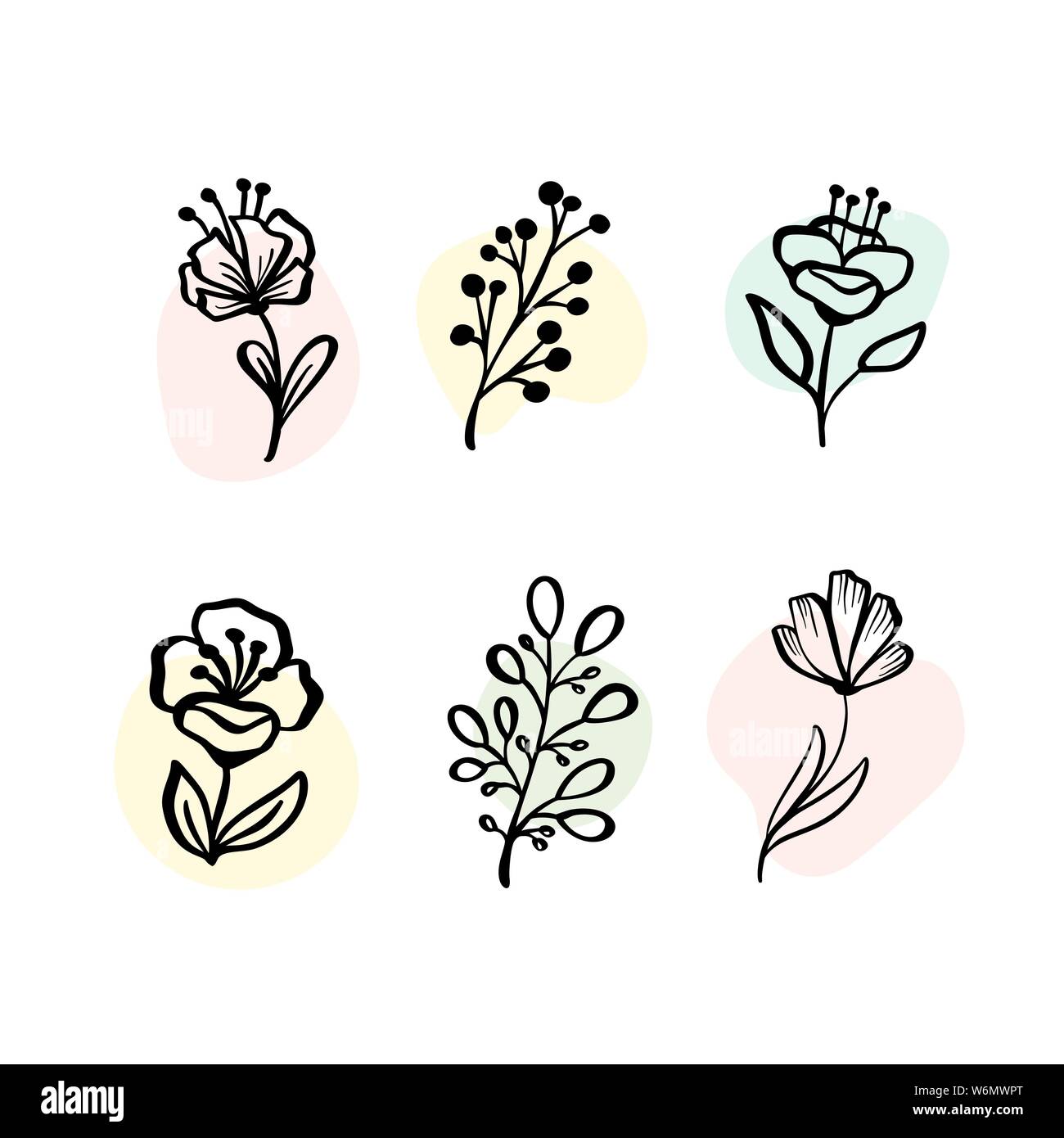 Vektor-Set botanische Elemente - Wildblumen, Kräuter. Sammlung Garten und wildes Laub, Blumen, Zweige. Illustration isoliert Pflanzen auf weiß Stock Vektor