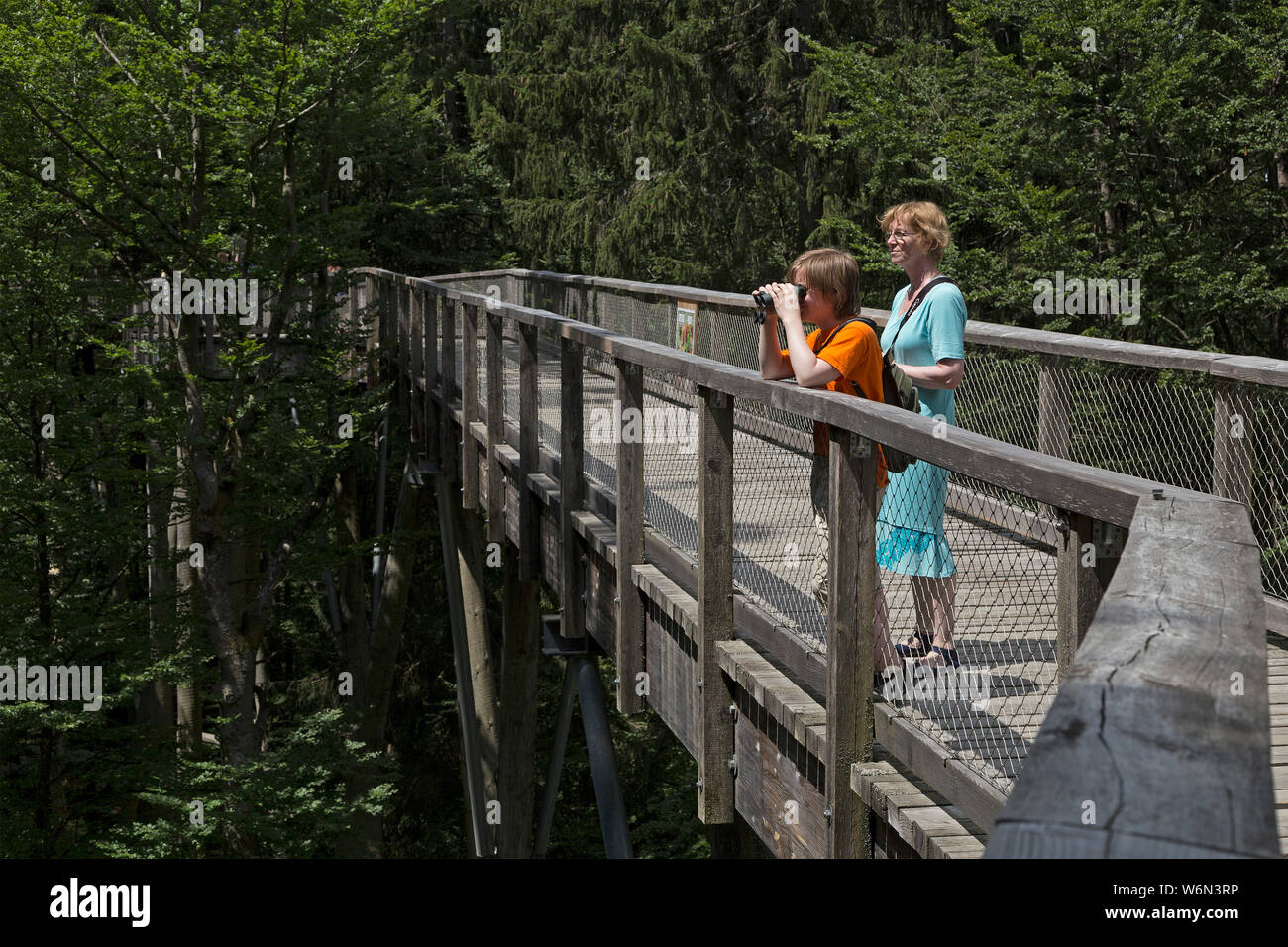 Junge Blick durch ein Fernglas, während Mutter ist gerade auf tree top walk, Neuschönau, Nationalpark Bayerischer Wald, Bayern, Deutschland Stockfoto