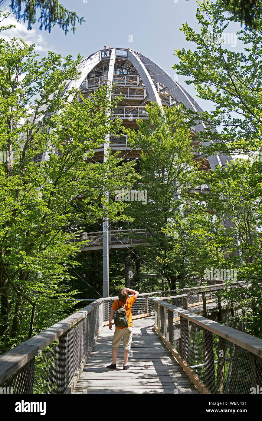 Look-out, Tree Top Walk, Neuschönau, Nationalpark Bayerischer Wald, Bayern, Deutschland Stockfoto