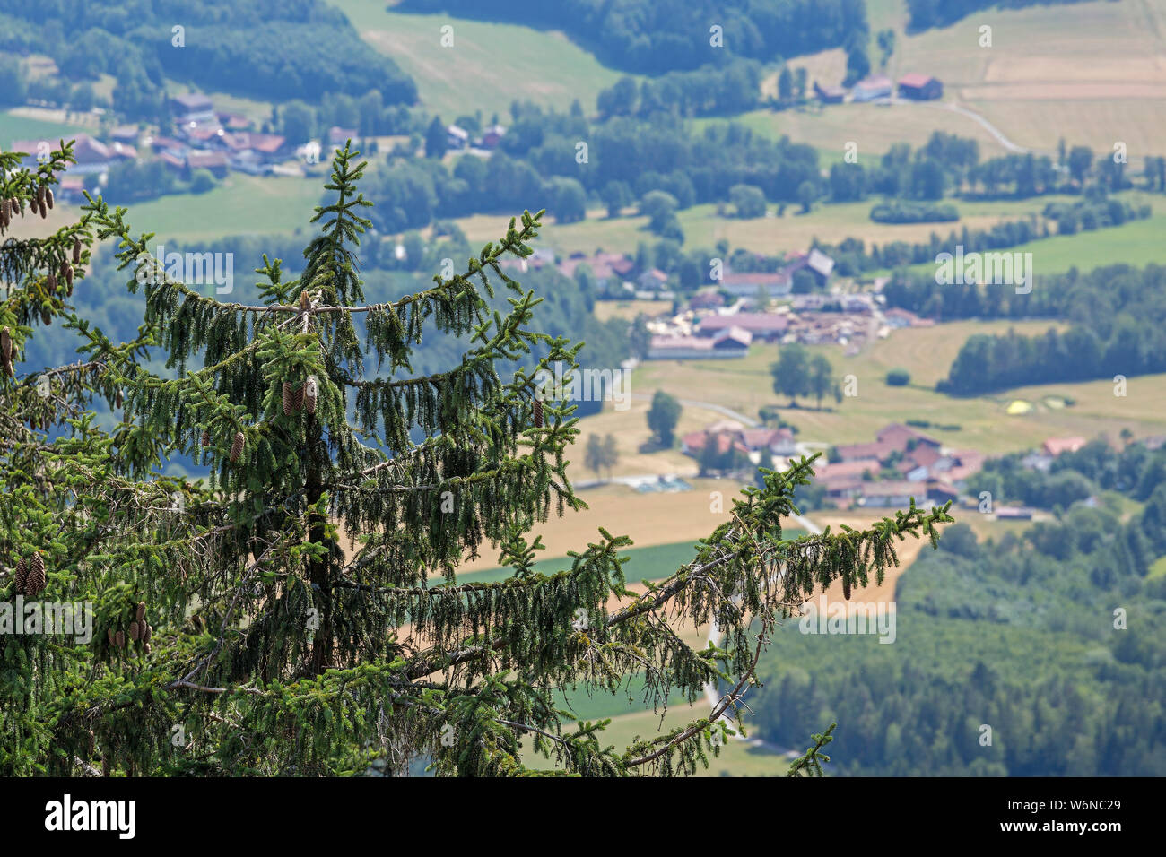 Blick vom Kleinen Riedelstein, Bayerischer Wald, Bayern, Deutschland Stockfoto