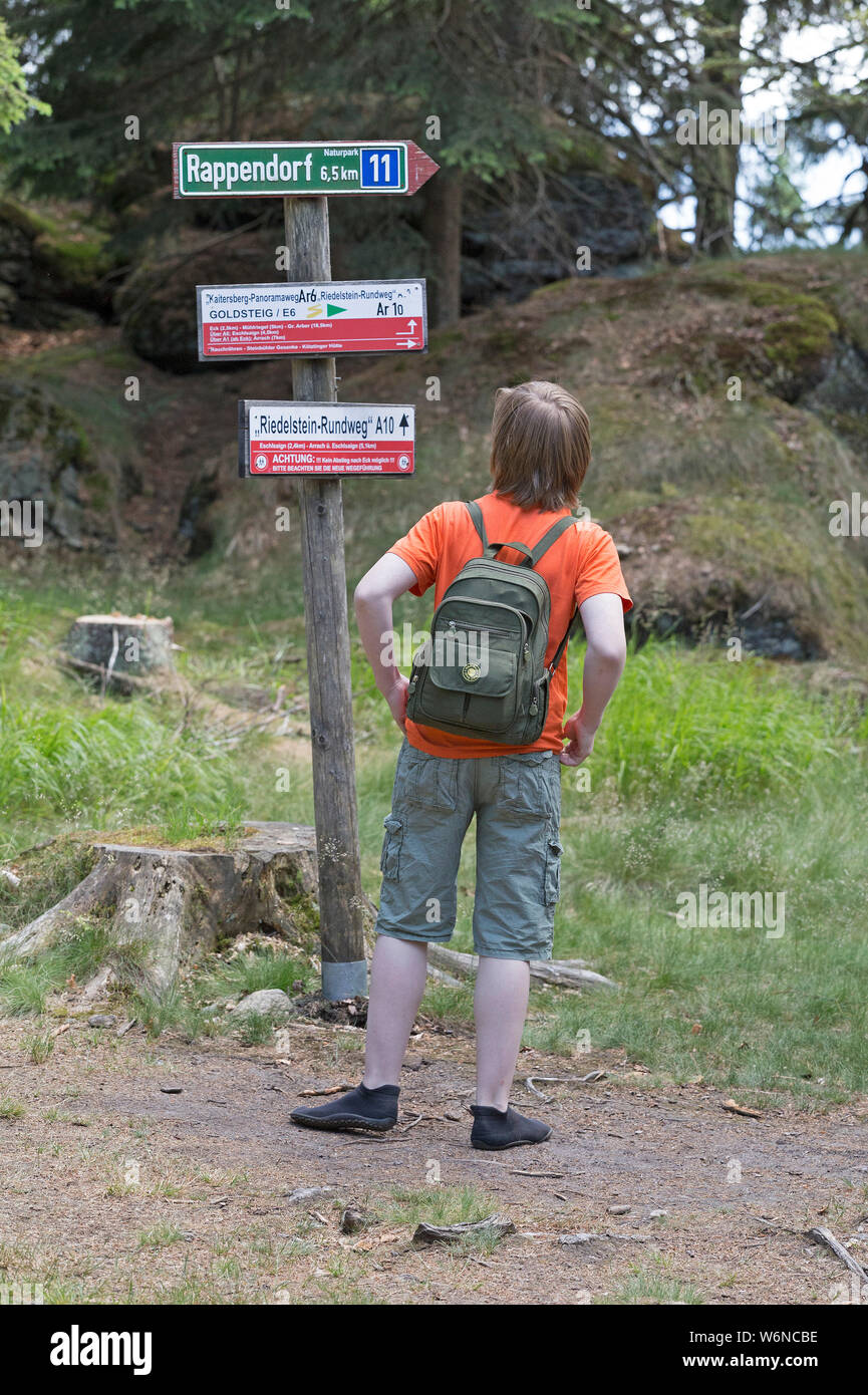 Junge lesen Wegweiser, Großer Riedelstein, Eck, Bayerischer Wald, Bayern, Deutschland Stockfoto