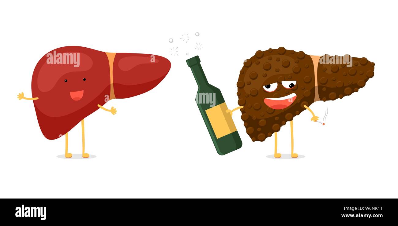 Gesund Spaß und krank ungesund krank betrunken Leber Charakter halten in der Hand Alkoholflasche und Zigarette. Konzept zur Zerstörung von Organen der menschlichen exokrinen Drüse. Vektor hepatische Vergleichsdarstellung Stock Vektor