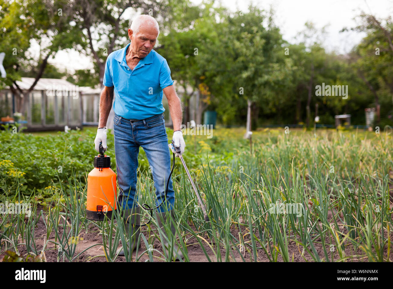 Der Mensch arbeitet mit Garten spray im Hof Stockfoto