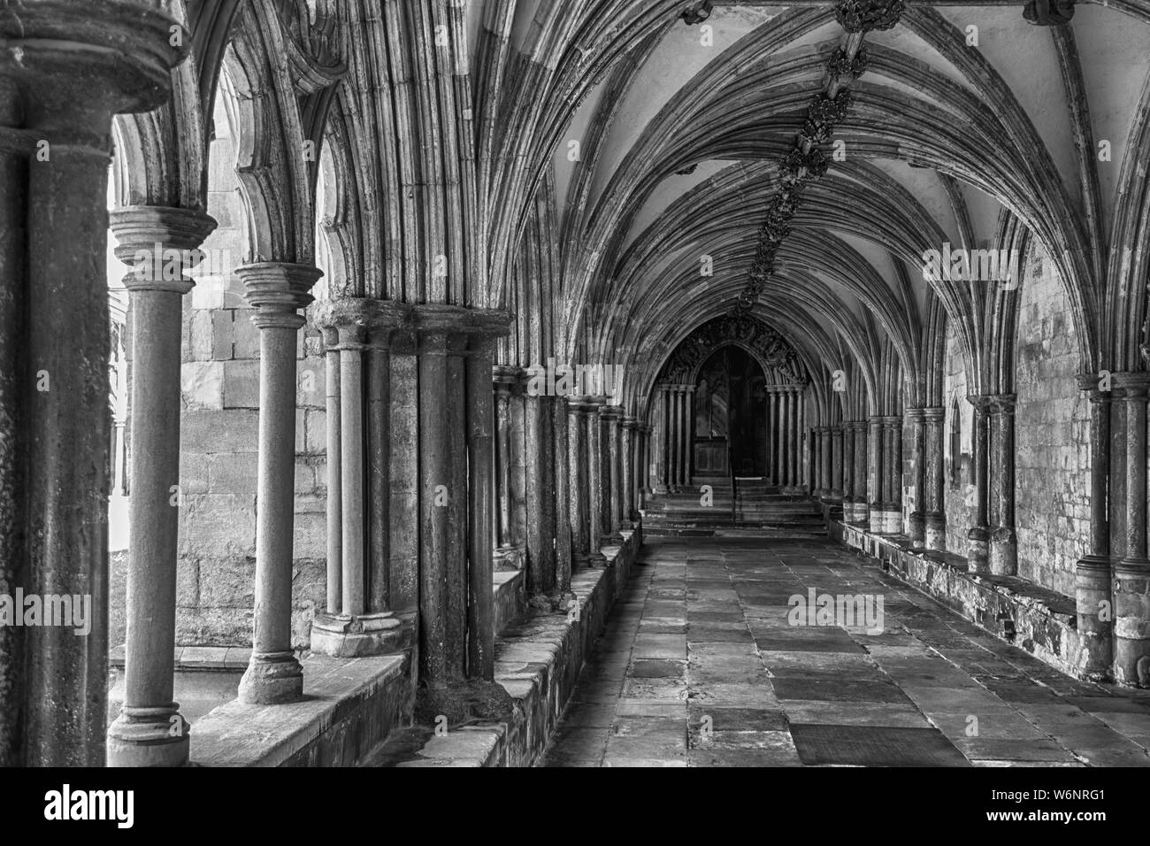 Die kreuzgänge Norwich Cathedral Stockfoto