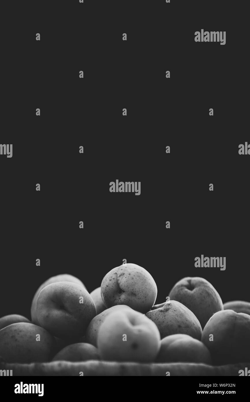 Frische reife Aprikosen auf einem schwarzen Hintergrund für Designer. Schwarzweiß, Schwarzweiß-Foto. Stockfoto