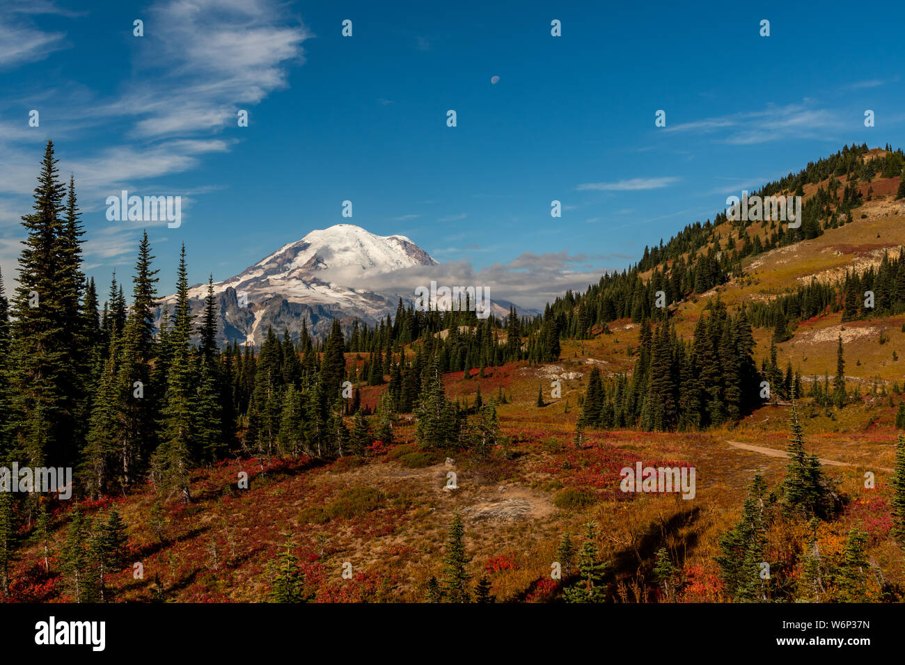 Herbst Farben entlang Berg vor Mount Rainier an klaren Tag Stockfoto