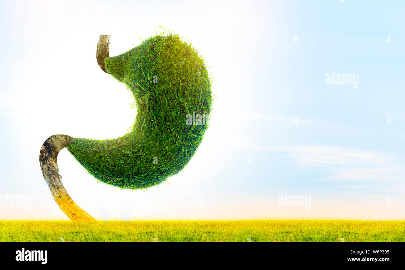 Der menschliche Magen ist stark. Die inneren Organe sind von grünen Bäumen geprägt. (Umwelt) Stockfoto