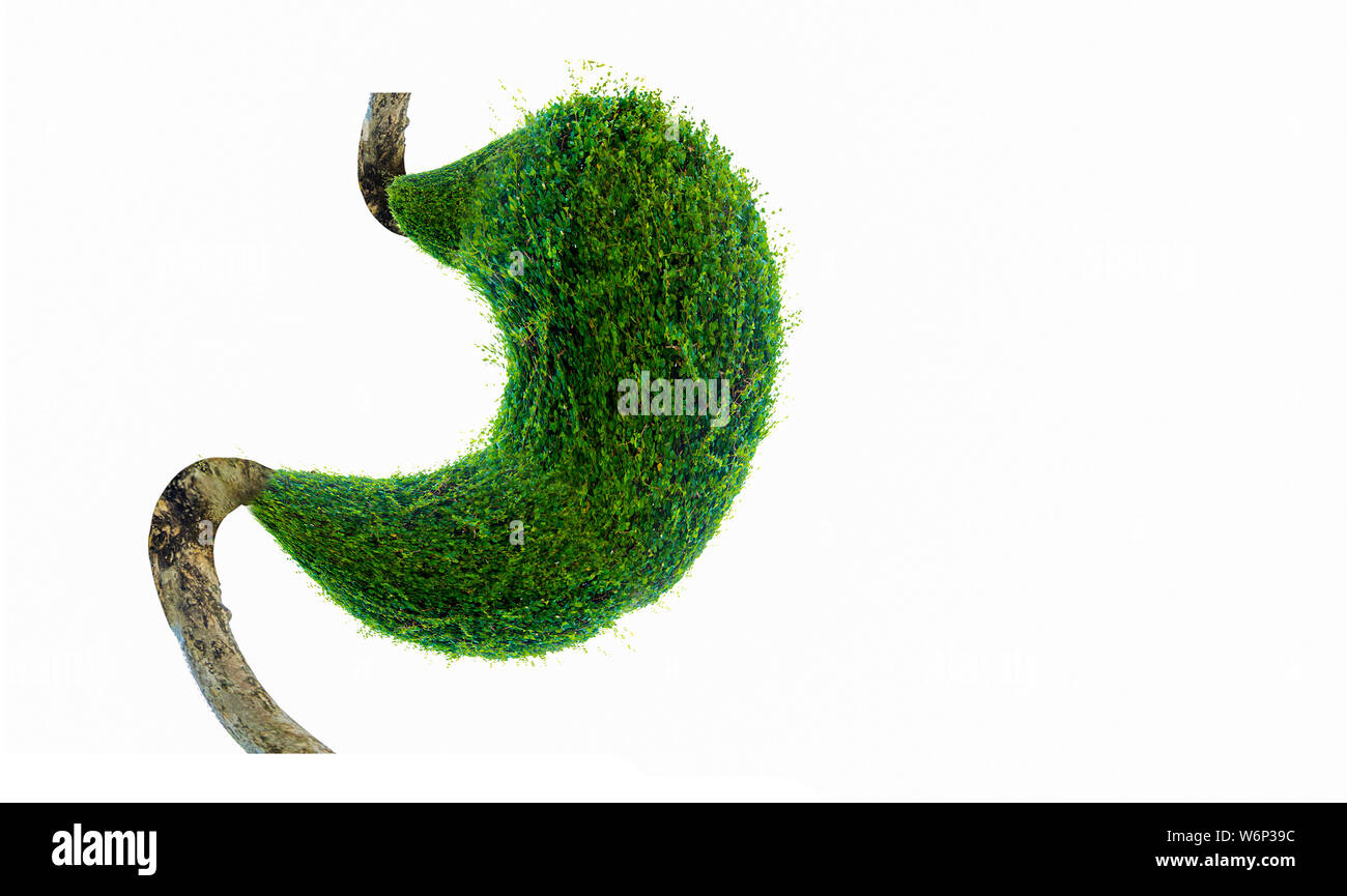 Der menschliche Magen ist stark. Die inneren Organe sind von grünen Bäumen geprägt. (Umwelt) Stockfoto