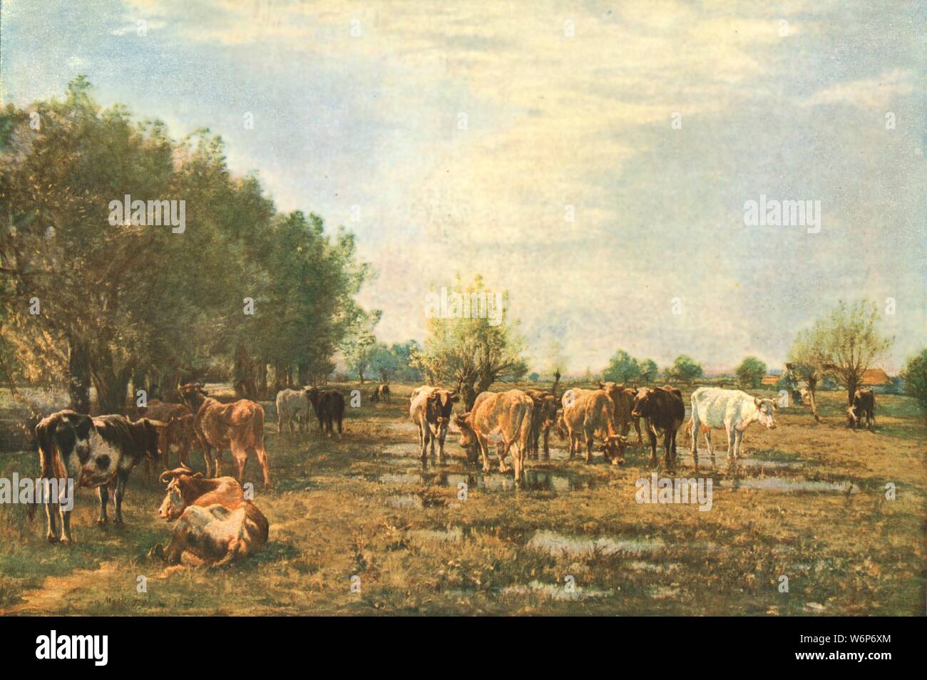 "Moorwiesen mit Vieh", 1877, (c 1930). Kühe im flachen Wasser stehen